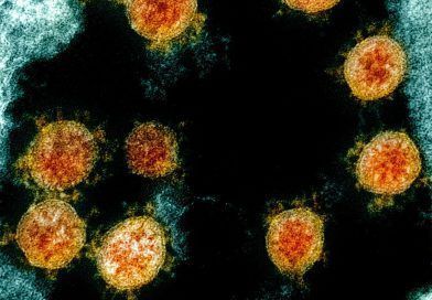 Coronavirus disrupts epigenetic tags in the human genome