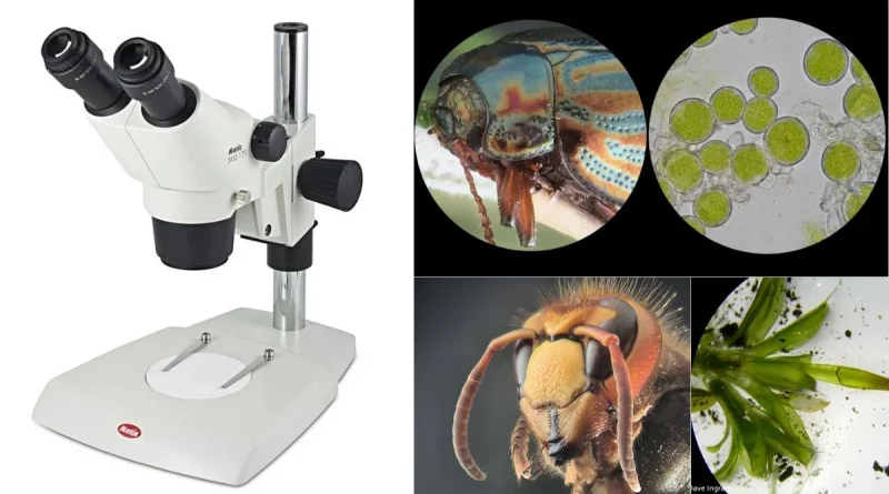 Gigapixel microscope