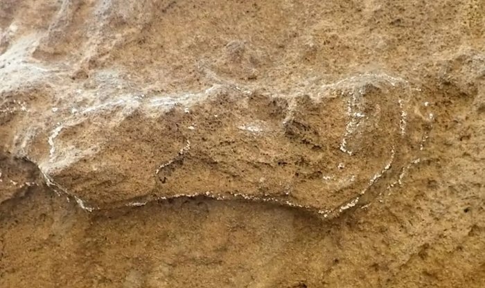 world's oldest human footprints