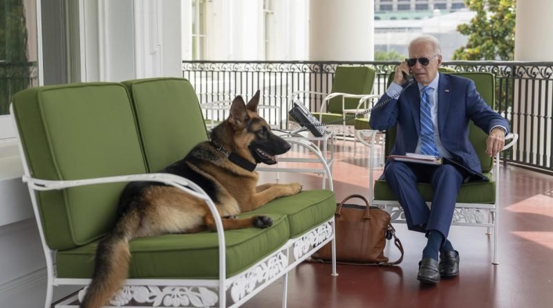 Biden's dog attacking Secret Service agents