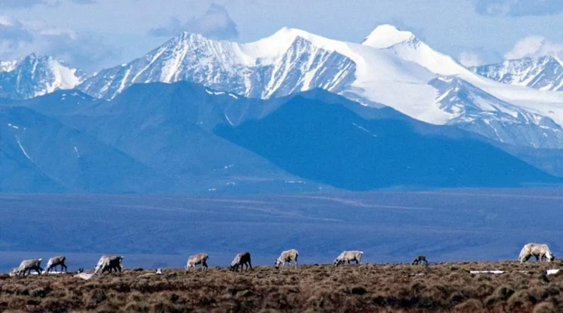 cancels remaining oil and gas leases in Alaska’s Arctic Refuge