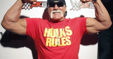 Hulk Hogan WWE